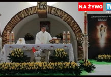 Transmisja w Oktawie Wielkanocy 2020